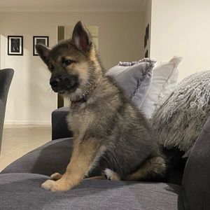 Meet your Posher, Trudy